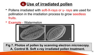 Poljen Example Recent advances in parthenocarpy and it's application in vegetable crop ...