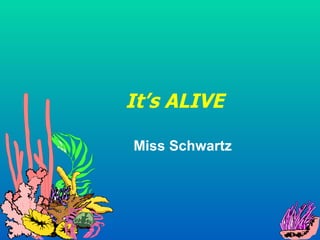 It’s ALIVE Miss Schwartz 