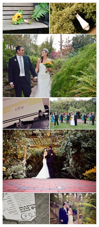 Sunken gardens wedding pictures