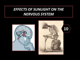 EFFECTS OF SUNLIGHT ON THE
NERVOUS SYSTEM
10
 