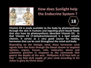 How does Sunlight help
the Endocrine System ?
Vitamin D3 is made available to the body by photosynthesis
through the skin in humans and ingesting plant based foods
that also have by photosynthesis absorbed Vitamin D3. In
that Vitamin D3 (7-dehydrocholesterol) is a lipid soluble
vitamin, it serves as a very good source for making
hormones that can be sent throughout the mind and body.
Depending on the biologic need, these hormones send
signals from the brain through the blood stream to targeted
systems, organs, tissues, cells, molecules, atoms and
subatomic particles in response to the commands that
govern the depths of the soul. Phillipians 4:19 Paul tells us
that “…my God shall supply all your need according to his
riches in glory by Christ Jesus.”
18
 