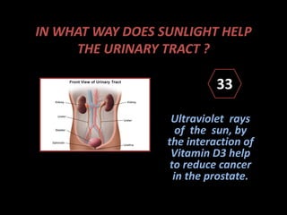 IN WHAT WAY DOES SUNLIGHT HELP
THE URINARY TRACT ?
Ultraviolet rays
of the sun, by
the interaction of
Vitamin D3 help
to reduce cancer
in the prostate.
33
 