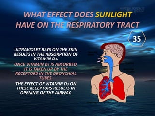 WHAT EFFECT DOES SUNLIGHT
HAVE ON THE RESPIRATORY TRACT
ULTRAVIOLET RAYS ON THE SKIN
RESULTS IN THE ABSORPTION OF
VITAMIN D3.
ONCE VITAMIN D3 IS ABSORBED,
IT IS TAKEN UP BY THE
RECEPTORS IN THE BRONCHIAL
TUBES.
THE EFFECT OF VITAMIN D3 ON
THESE RECEPTORS RESULTS IN
OPENING OF THE AIRWAY.
35
 