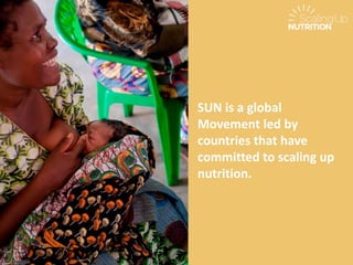 SUN is a global
Movement led by
countries that have
committed to scaling up
nutrition.
 