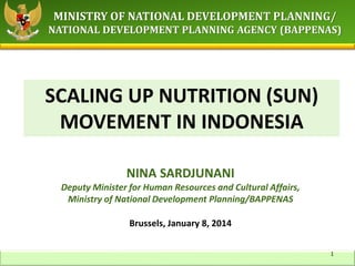 MINISTRY OF NATIONAL DEVELOPMENT PLANNING/
NATIONAL DEVELOPMENT PLANNING AGENCY (BAPPENAS)
SCALING UP NUTRITION (SUN)
MOVEMENT IN INDONESIA
Brussels, January 8, 2014
NINA SARDJUNANI
Deputy Minister for Human Resources and Cultural Affairs,
Ministry of National Development Planning/BAPPENAS
1
 