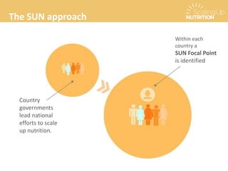 The SUN approach
Country
governments
lead national
efforts to scale
up nutrition.
Within each
country a
SUN Focal Point
is identified
 