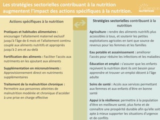 Pratiques et habitudes alimentaires :
encourager l'allaitement maternel exclusif
jusqu'à l'âge de 6 mois et l'allaitement continu
couplé aux aliments nutritifs et appropriés
jusqu'à 2 ans et au-delà
Fortification des aliments : Faciliter l'accès aux
nutriments en les ajoutant aux aliments
Supplémentation en micronutriments :
Approvisionnement direct en nutriments
supplémentaires
Traitement de la malnutrition chronique :
Permettre aux personnes atteintes de
malnutrition modérée et chronique d'accéder
à une prise en charge effective
Agriculture : rendre des aliments nutritifs plus
accessibles à tous, et soutenir les petites
exploitations agricoles en tant que source de
revenus pour les femmes et les familles
Eau potable et assainissement : améliorer
l'accès pour réduire les infections et les maladies
Éducation et emploi : s'assurer que les enfants
reçoivent la nutrition dont ils ont besoin pour
apprendre et trouver un emploi décent à l'âge
adulte
Soins de santé : Accès aux services permettant
aux femmes et aux enfants d'être en bonne
santé
Appui à la résilience: permettre à la population
d'être en meilleure santé, plus forte et de
connaître une prospérité durable afin qu’elle soit
apte à mieux supporter les situations d'urgence
et de conflits
Stratégies sectorielles contribuant à la
nutrition
Actions spécifiques à la nutrition
Les stratégies sectorielles contribuant à la nutrition
augmentent l'impact des actions spécifiques à la nutrition.
 