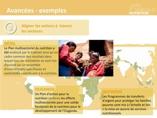 Avancées - exemples
Aligner les actions à travers
les secteurs
3
NÉPAL
Le Plan multisectoriel de nutrition a
été endossé par le Cabinet ainsi qu'un
cadre commun des résultats dans
lequel tous les ministères se sont mis
d’accord sur un ensemble
d'interventions spécifiques et
sectorielles contribuant à la nutrition.
OUGANDA
Un Plan d'action pour la
nutrition renforce les efforts
multisectoriels pour une solide
fondation de la nutrition pour le
développement de l'Ouganda.
INDONÉSIE
Les Programmes de transferts
d'argent pour protéger les familles
pauvres sont mis à l'échelle et liés
à la mise en œuvre de services
nutritionnels
 