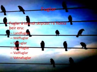 Fuglar Fuglar á íslandi skiptast í 6 flokka                   þeir eru:LandfuglarMáffuglarSjófuglarSpörfuglarVaðfuglarVatnafuglar