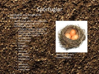 Spörfuglar Spörfuglar eru langstærsti ættbálkur fugla. Það eru þó aðeins níu tegundir spörfugla sem verpa hér í einhverjum mæli. Einangrun landsins, skógleysi og vætusöm veðrátta eru taldar helstu ástæður fyrir þessum rýra hlut spörfugla fuglaflóru Spörfuglar eru:AuðnutillingurGráspörGráþrösturHrafnMaríuerlaMúsarindillSnjótitlingurSkóarþrösturStarriSteindepillSvartþrösturÞúfutitlingurSpörfuglar verpa í vönduð hreiður.