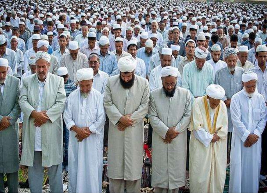 Difference between Sunnis and Shiites, (Muslims).