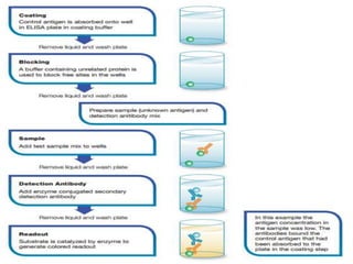 ELISA Notes | PPTX