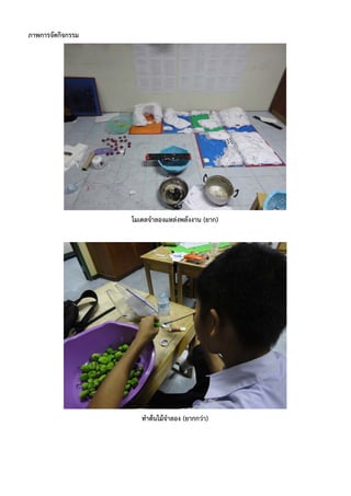 ภาพการจัดกิจกรรม




                   โมเดลจําลองแหล่งพลังงาน (ยาก)




                      ทําต้นไม้จําลอง (ยากกว่า)
 