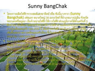 Sunny BangChak
• โครงกำรผลิตไฟฟ้ ำจำกเซลล์แสงอำทิตย์ หรือ ซันนี่บำงจำก (Sunny
Bangchak) เฟสแรก ขนำดใหญ่ 38 เมกะวัตต์ ที่อำเภอบำงปะอิน จังหวัด
พระนครศรีอยุธยำ เริ่มจำหน่ำยไฟฟ้ ำให้กำรไฟฟ้ ำส่วนภูมิภำคได้ตั้งแต่วันที่ 5
สิงหำคม เป็นต้นมำและจะจำหน่ำยให้กำรไฟฟ้ ำฝ่ำยผลิตแห่งประเทศไทยเพิ่มขึ้น
ภำยในเดือนพฤศจิกำยน 2554 นี้เพิ่มสำรองไฟฟ้ ำรองรับควำมต้องกำรใช้ที่
เพิ่มขึ้นของภำคกำรผลิตและครัวเรือน ซึ่งในแต่ละปีมีควำมต้องกำรใช้เพิ่มขึ้น
ประมำณ 1,000 เมกะวัตต์
• โครงกำรผลิตไฟฟ้ ำจำกเซลล์แสงอำทิตย์ หรือ Sunny Bangchak ขณะนี้มี
สัญญำจำหน่ำยไฟฟ้ ำทั้งสิ้นรวม 118 เมกะวัตต์ ใน 3 ระยะ จนถึงปี 2556
โครงกำรระยะที่หนึ่งขนำด 38 เมกะวัตต์ ที่อำเภอบำงปะอิน จังหวัด
พระนครศรีอยุธยำ บนพื้นที่กว่ำ 500 ไร่ สำหรับโครงกำรระยะสอง ขนำด 32 เม
กะวัตต์ ขณะนี้อยู่ระหว่ำงออกประมูลจัดซื้อแผงเซลล์แสงอำทิตย์และจัดจ้ำง
ผู้รับเหมำติดตั้ง คำดว่ำจะเริ่มดำเนินกำรก่อสร้ำงได้ในไตรมำส 4 ปีนี้หลังจำกนั้น
จึงจะเริ่มพัฒนำโครงกำรส่วนที่เหลือขนำด 48 เมกะวัตต์ในปีถัดไป
 
