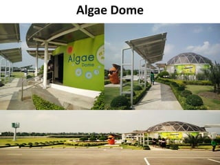 Algae Dome
 