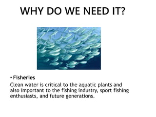 WHY DO WE NEED IT?
• Fisheries
Clean water is critical to the aquatic plants and
also important to the fishing industry, sport fishing
enthusiasts, and future generations.
 