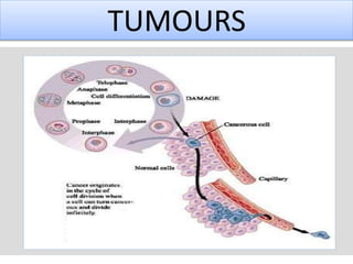 CELL SIGNALING AND PATHWAYS INVOLVED IN CELL SIGNALING AND SOLID TUMORS ...