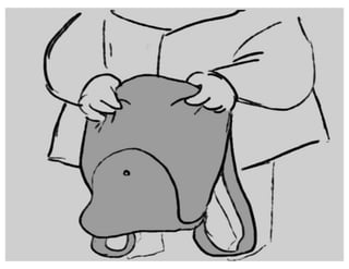 Sunnyside Up - Act 1