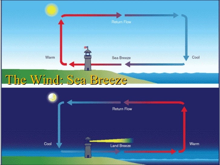 How does wind affect weather?