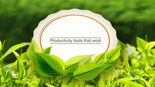 Productivity tools that work
 