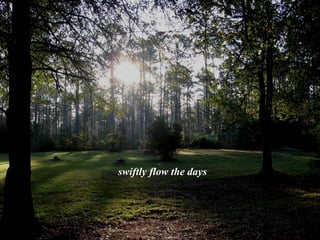 swiftly flow the days