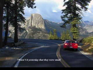 ?Wasn‘t it yesterday that they were small