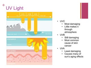 +
UV Light
• UVC
• Most damaging
• Little makes it
through
atmosphere
• UVB
• Still damaging
• Most common
cause of skin
cancer
• UVA
• Least damaging
• Causes many of
sun’s aging effects
 