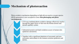 Mechanism of photoreaction
Photo-oxidative mechanism depending on light-driven reactive oxygen species
(ROS) generation is now accepted to cause skin photoaging and photo
carcinogenesis.
• UVA rays mediated photo-oxidative damage effectively reaches
through the upper layers of skin into the human dermis and
dermal capillary system
• Substantial protein and lipid oxidation occurs in human skin
epidermis and dermis.
• Together with a significant depletion of enzymatic and non-
enzymatic antioxidants in the stratum corneum epidermis and
dermis.
 