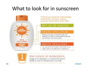 What to look for in sunscreen
 
