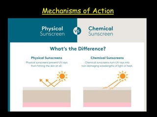 Mechanisms of Action
 