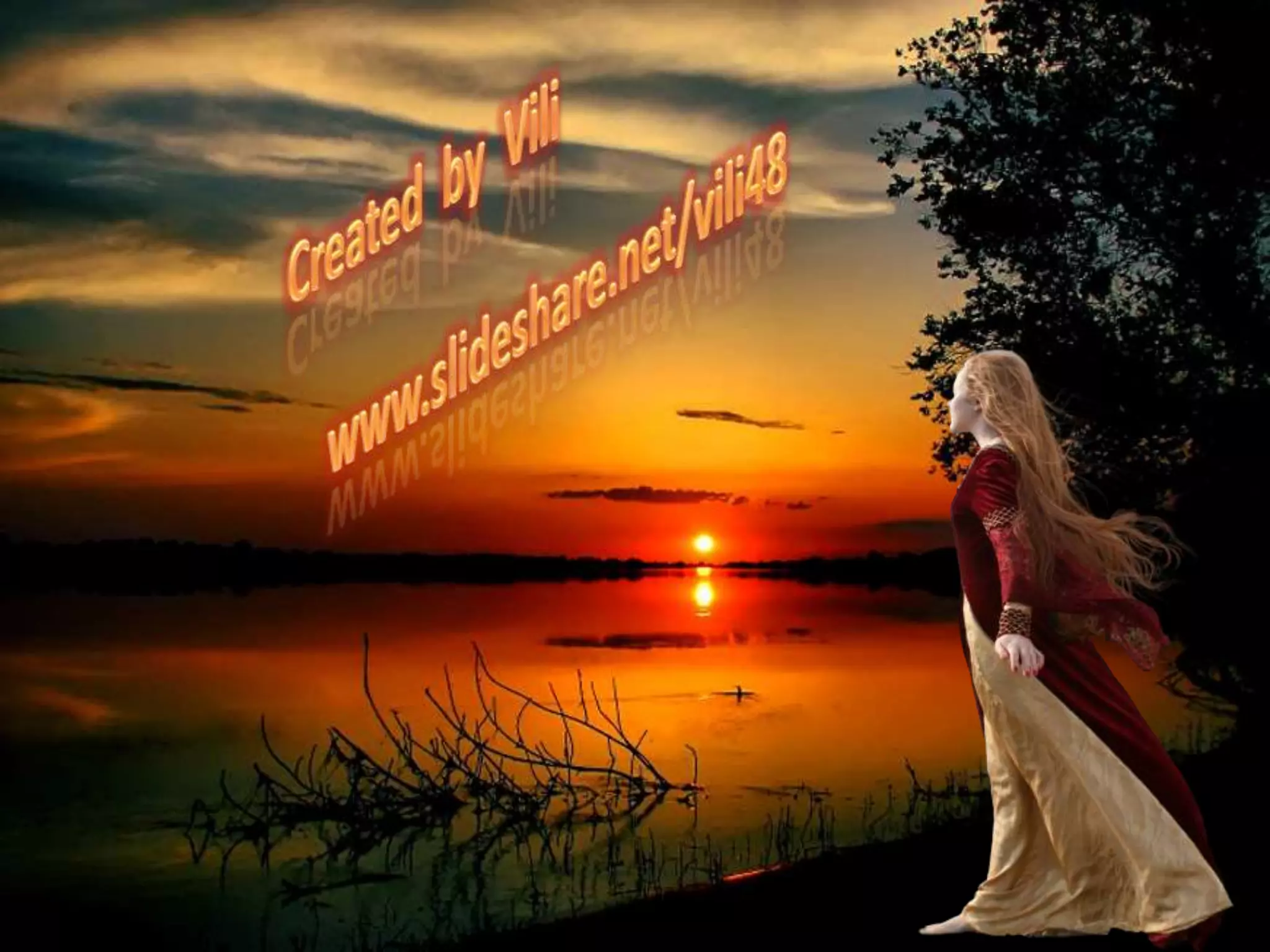 Created  by  Viliwww.slideshare.net/vili48