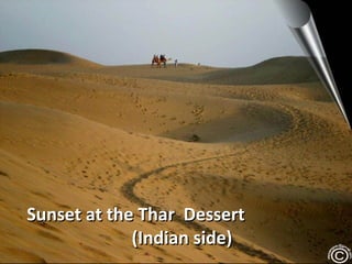 Sunset at the Thar Dessert
(Indian side)

 
