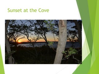 Sunset at the Cove
 