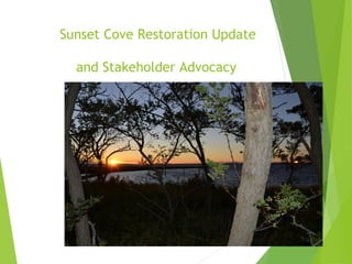 Sunset Cove Restoration Update
and Stakeholder Advocacy
 