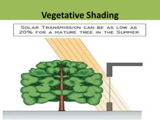 Vegetative Shading
 