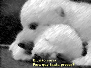 Ei, não corra.
Para que tanta pressa?
 