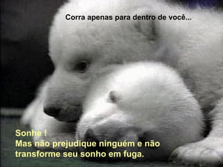 Corra apenas para dentro de você... 
Sonhe ! 
Mas não prejudique ninguém e não 
transforme seu sonho em fuga. 
 