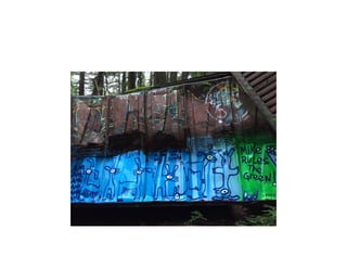 Sunshine coast literacy_jan_2015