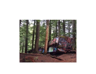 Sunshine coast literacy_jan_2015