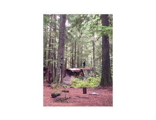 Sunshine coast literacy_jan_2015