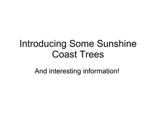 Introducing Some Sunshine Coast Trees And interesting information!  