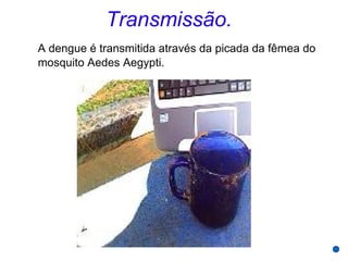 Transmissão.
A dengue é transmitida através da picada da fêmea do
mosquito Aedes Aegypti.
 