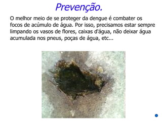Prevenção.
O melhor meio de se proteger da dengue é combater os
focos de acúmulo de água. Por isso, precisamos estar sempre
limpando os vasos de flores, caixas d'água, não deixar água
acumulada nos pneus, poças de água, etc...
 