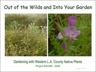 Out of the Wilds and Into Your Garden




    Gardening with Western L.A. County Native Plants
                   Project SOUND - 2009
                                               © Project SOUND
 