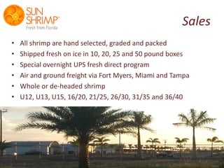 overnight bolsa myer