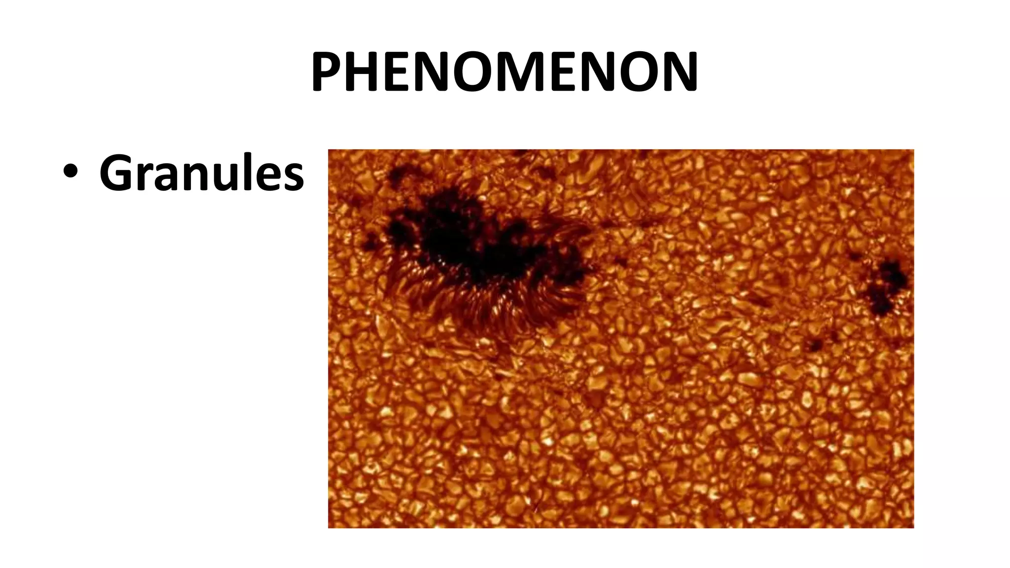 PHENOMENON
• Granules
 