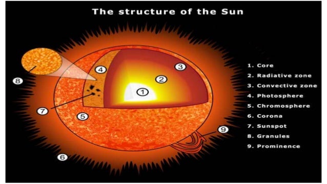 Sun's layer diagram of chlamydia 