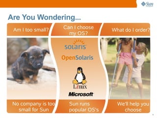 Sun Startup Essential Program