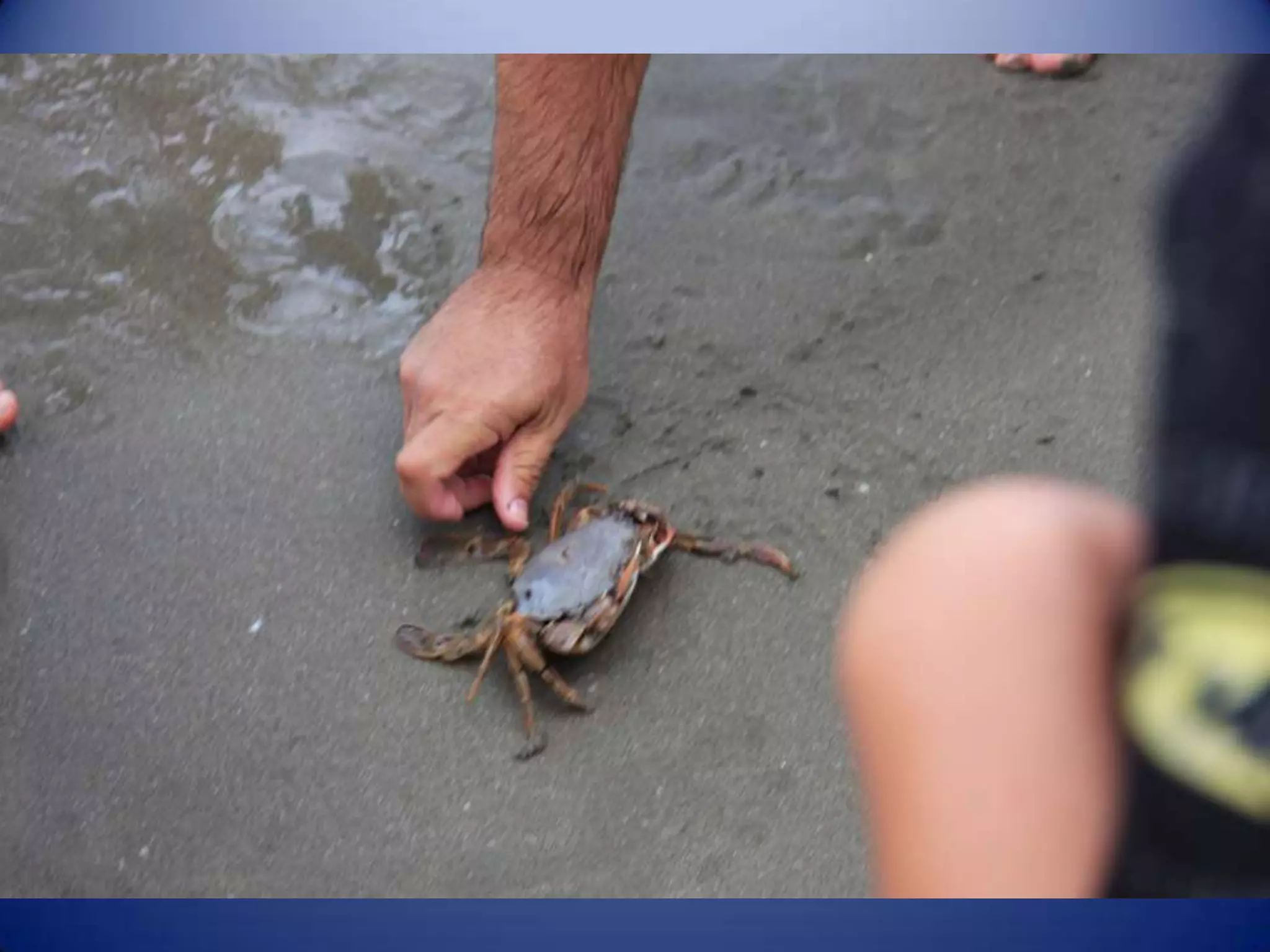 Sun & surf camp 2014