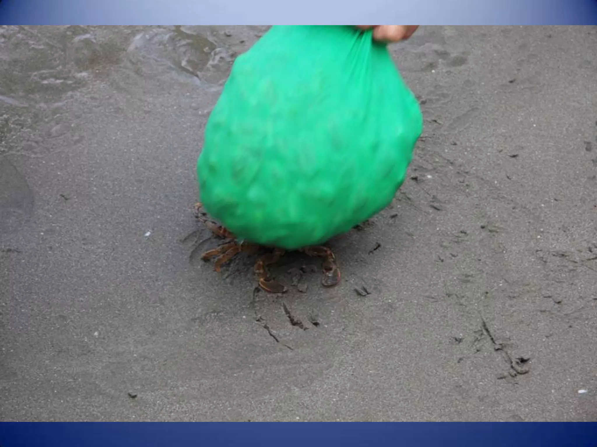 Sun & surf camp 2014